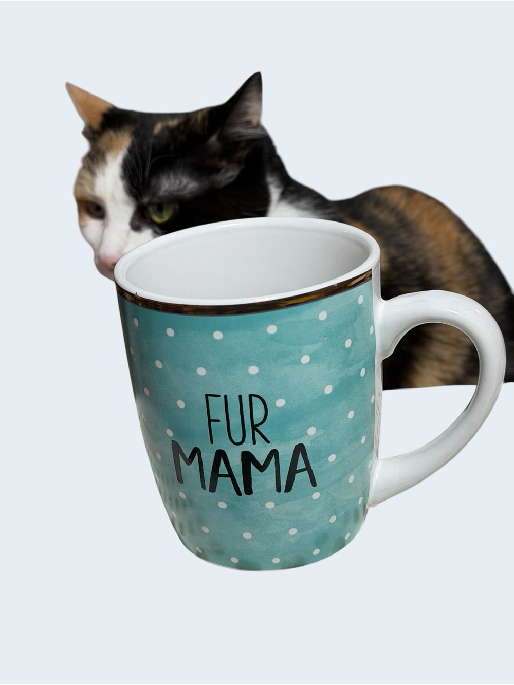 Fur Mama Polka Dot Ceramic 15 oz Mug LIKE NEW! - Picture 7 of 9